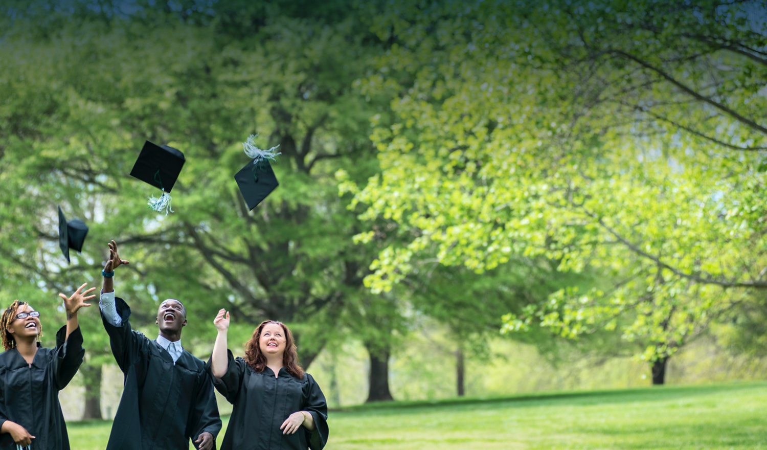 Greenville Technical College CustomViewbook Wizard